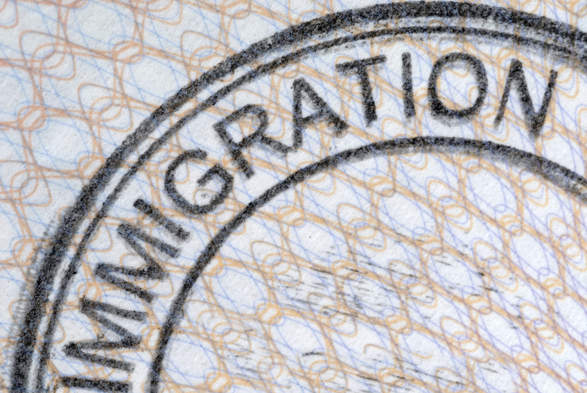 Reforming the immigration system requires thinking in terms of two types of immigrants, which for simplicity we will call high-skilled and low-skilled...